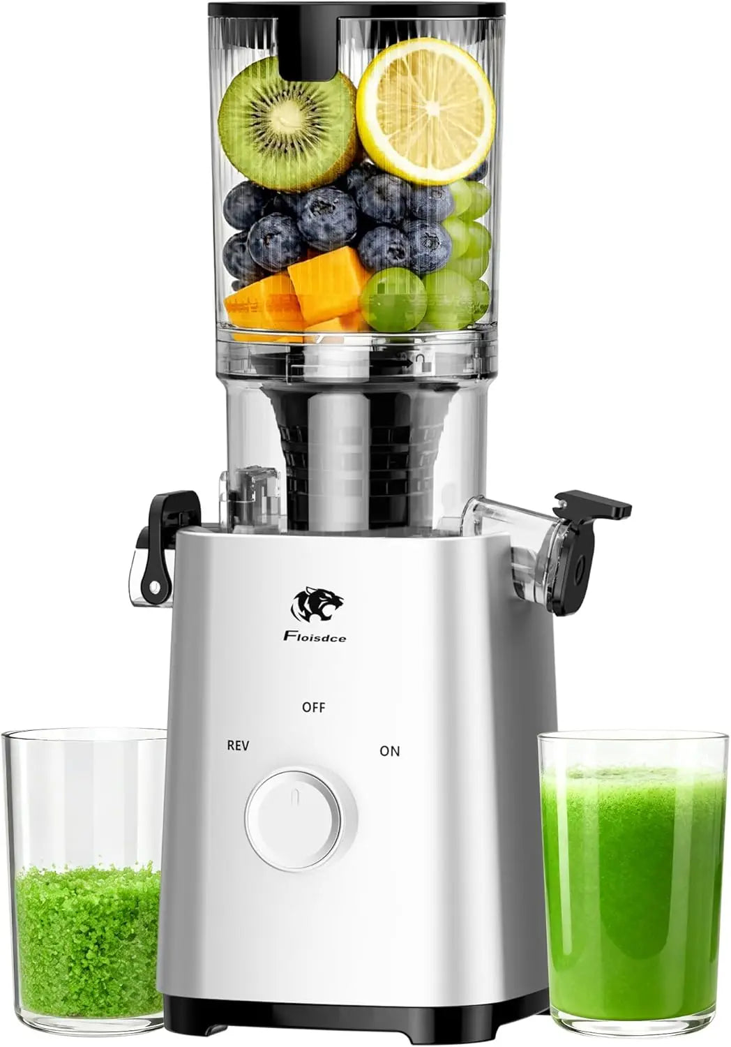 T34 Cold Press Juicer By XMSJ For Health Conscious Home Juicers Nutrient Packed Juicing And Whisper Quiet Performance