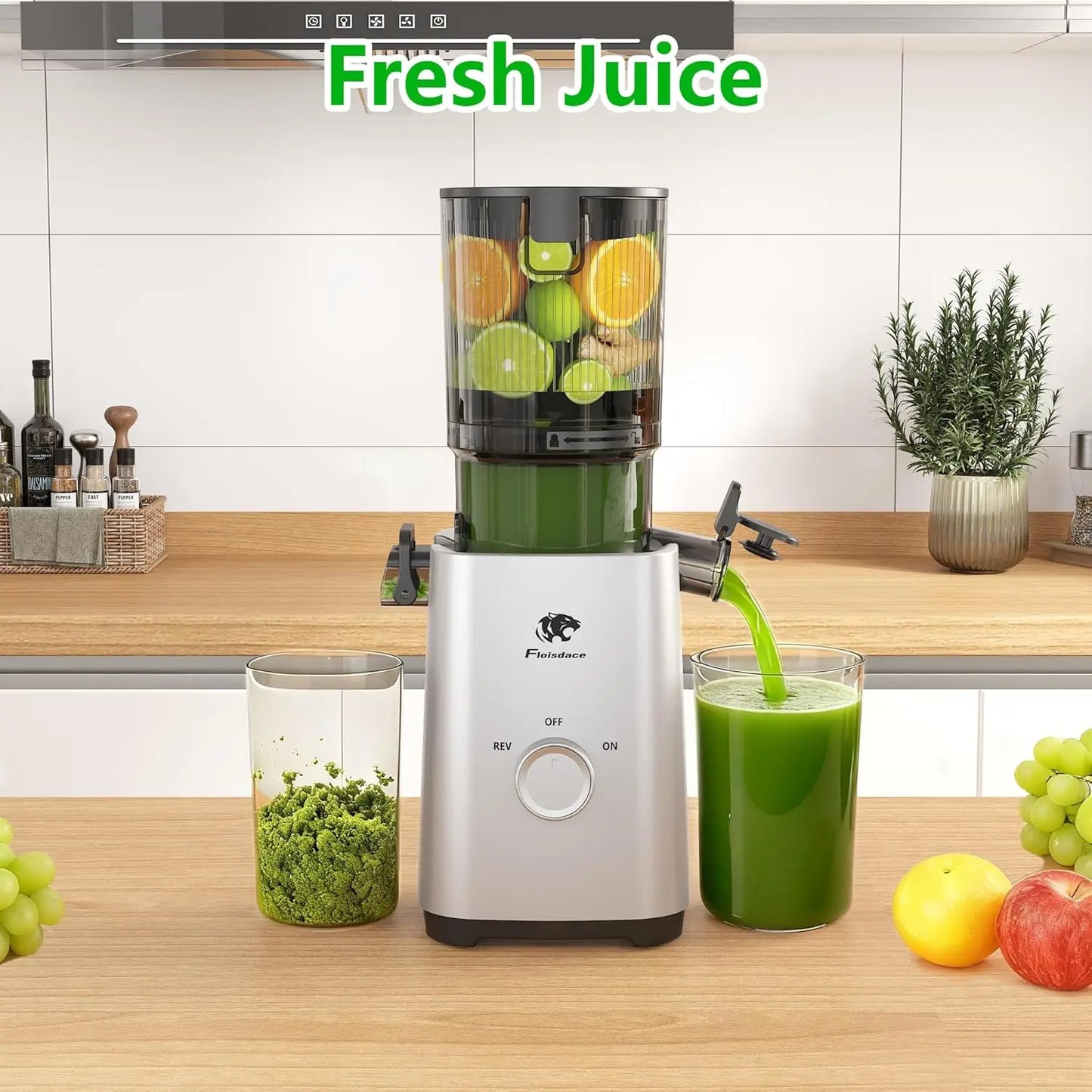 T34 Cold Press Juicer By XMSJ For Health Conscious Home Juicers Nutrient Packed Juicing And Whisper Quiet Performance